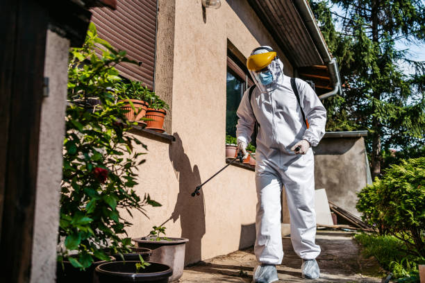 Best Local Pest Control Services  in Carrier Mls, IL