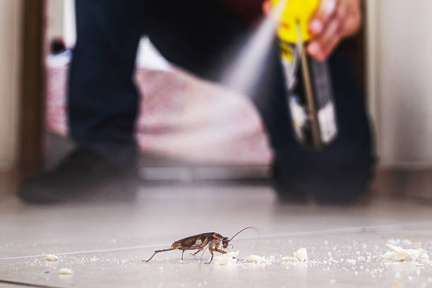 Best Wasp Removal Services  in Carrier Mls, IL