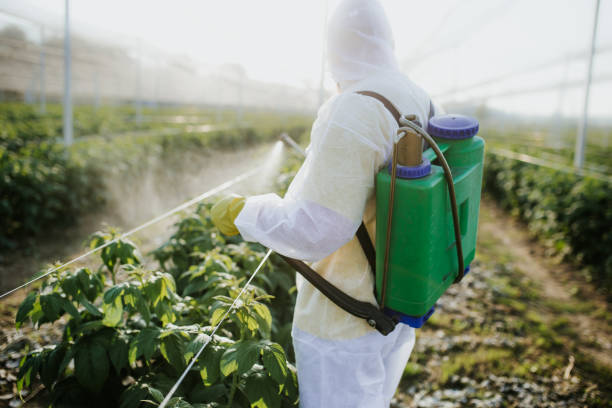 Best Emergency Pest Control  in Carrier Mls, IL